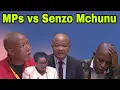 Lagu Senzo Mchunu faces questions from Members of Parliament.