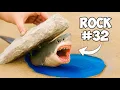 I Flipped 100 Beach Rocks Here s What I Found