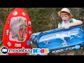Download Lagu 🥚 EGG SURPRISE: Giant T-Rex! | BEST OF @TRexRanch | Explore With Me!