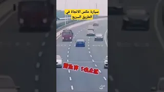 سيارة عكس الاتجاه في الطريق السريع          معلومات دندنها