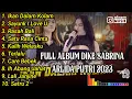 Download Lagu ARLIDA PUTRI FT. DIKE SABRINA \