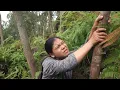 Duyen's heart-wrenching search culminates in a miraculous rescue for Han!