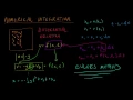 Math for Game Developers - Particle Simulation Numerical Integration