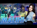 Download Lagu MALIHI DAYAK | Tagal Haranan Duit Dan Jabatan - Era Syaqira ft Bintang Nada