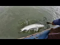 Download Lagu Mancing Kakap Putih di Muara Ploek Eretan