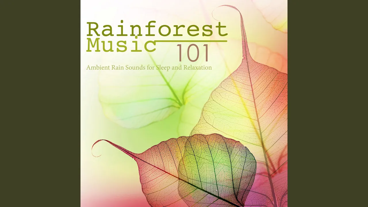 Rhythm of the Forest Rhythm of the Forest
