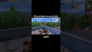 سكواد بش علي مش معقول الي صار   دندنها