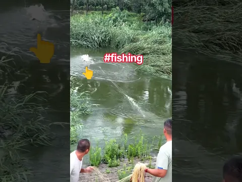 pov: Fishing is fun! His casting skill is incredibly accurate #profish