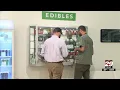 Virginia lawmakers resubmit bill to establish legal retail cannabis market