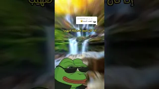 اذا كان اسم صديقك صهيب الضفدع الحكيم حسام Forg 