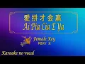 Download Lagu 爱拼才会赢 【卡拉OK (女)】《KTV KARAOKE》 - Ai Pia Cia E Ya (Female)