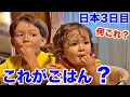 Download Lagu 朝から言葉失う…これが日本食⁉︎