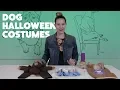 Dog Halloween Costume Reviews 3 Popular Amazon Picks Rover