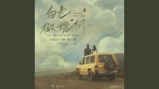 Ignite Me On Fire 电视剧 白色橄榄树 插曲 