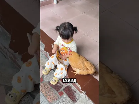 Bocil pinter ngajarin ayamnya belajar 🤣 #shortviral