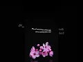 Jada kingdom-Di Genius-Gpp