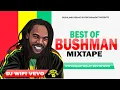 Lagu RASTA JAMS VOL.15 - BEST OF BUSHMAN REGGAE HITS MIX | DJ WIFI VEVO