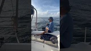 Catch and cook #caribbean #tuna #fishing #cooking #sailingbyefelicia