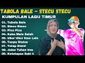 Download Lagu Lagu Timur viral || Lagu Tik Tok || Bengkulu Vibes || Tabola Bale || Stecu Stecu 