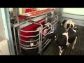 Download Lagu Lely - A sustainable, profitable and enjoyable future in farming