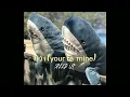 หวง (you're mine) - เอิ๊ต ภัทรวี (speed up)