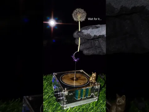 Tesla coil + real dandelion flower πΈ #experiment #fire #shorts