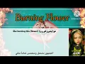 HANA [Burning Flower]/ عودة فرقة هانا اليابانية [كالزهرة المشتعلة] مترجمة مع نطق