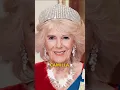 How to understand Tiaras? in 30 seconds!