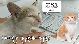 kucing ngajarin anas ngaji iqro belajar iqro bersama kucing diary anas