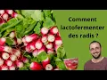 Download Lagu Comment lactofermenter des radis ? (recette facile)