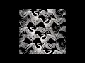 Birds of Mind - Ankara ( NU Remix ) ( 2017 )
