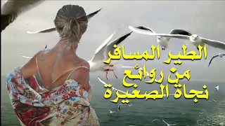 الطير المسافر   من روائع   نجاة الصغيرة   تحية مني لكم   عائد دندنها