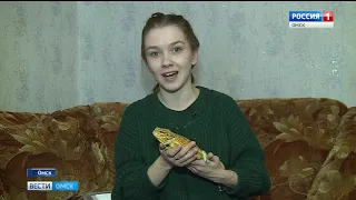Сегодня всемирный день домашних животных