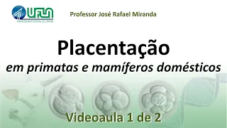 Placentação em primatas e mamíferos domésticos - Videoaula 1