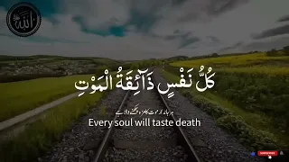 beautiful voice kuran tilawat kullu nafsin zaikatul maut
