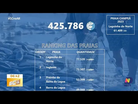 Safra da tainha 2024: cota da pesca industrial é atingida antes do prazo em SC