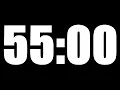 55 MINUTE TIMER LOUD ALARM