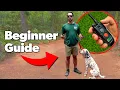 E Collar Training A Beginner s Guide to Safe Effective Use