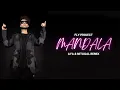 Download Lagu Fly Project - Mandala (DJ AYA Remix)