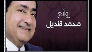 محمد قنديل   غزال شارد دندنها