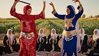 ولع البابور ياحيله امك داخله البوليس ولا داخله امك للنجم حمادة الاسواني  كف صعيدي على حق   دندنها