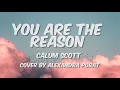 Download Lagu You Are The Reason - Calum Scott (cover by Alexandra Porat) Lyrics