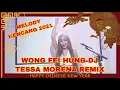 Download Lagu SPECIAL IMLEK WONG FEI HUNG DJ TESSA MORENA REMIX