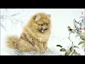 【作業用BGM】優里メドレー