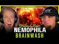 Download Lagu Nemophila's 'BRAINWASH' Shreds Expectations – Our Reaction \u0026 Review