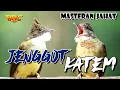 Lagu MASTERAN MEWAH !! CUCAK JENGGOT VS KAPAS TEMBAK GACOR SUPER PEDES