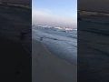 June 18 2017 Ogunquit Beach high tide