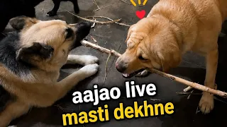 labra rubi is live
