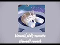 Download Lagu Old binomi slowed/reverb by maretu