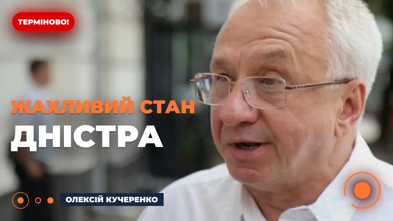 Енергетики мали святу ціль — нардеп розкрив причини обміління річки Дністер